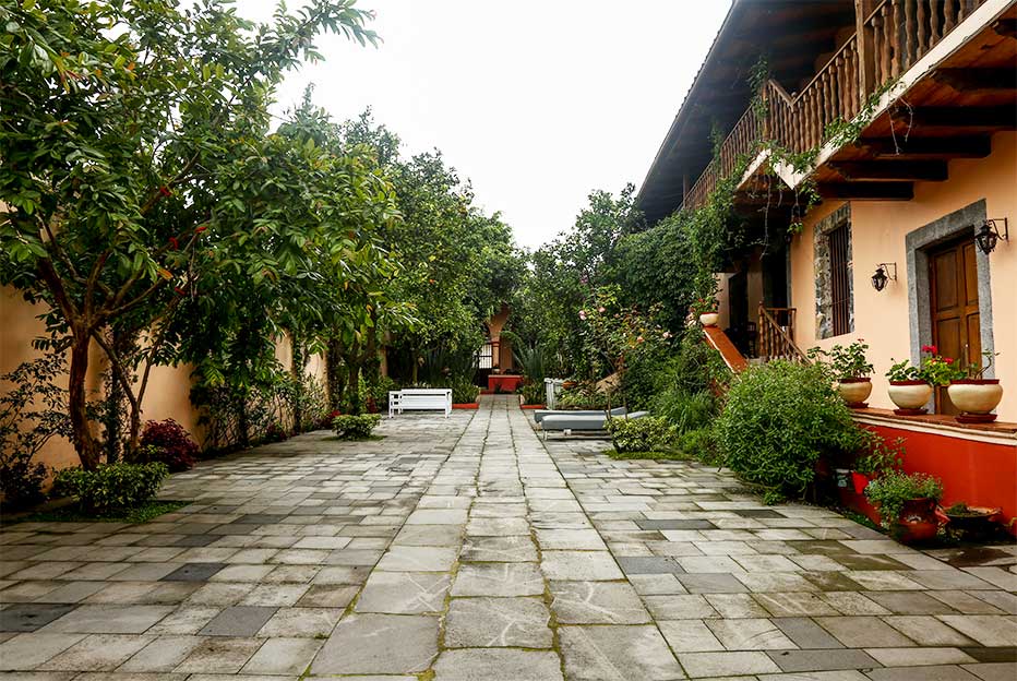 EL PATIO 1