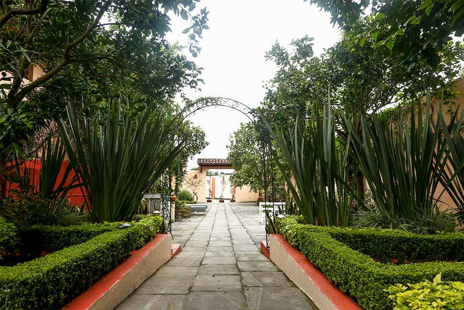 EL PATIO 2